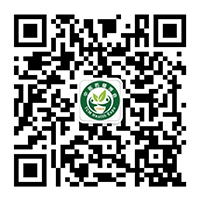 關注我們